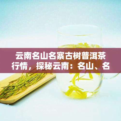 云南名山名寨古树普洱茶行情，探秘云南：名山、名寨与古树普洱茶的行情走势