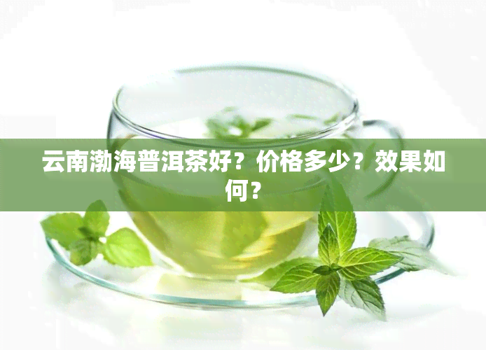 云南渤海普洱茶好？价格多少？效果如何？