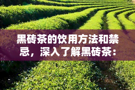 黑砖茶的饮用方法和禁忌，深入了解黑砖茶：饮用方法与禁忌大揭秘