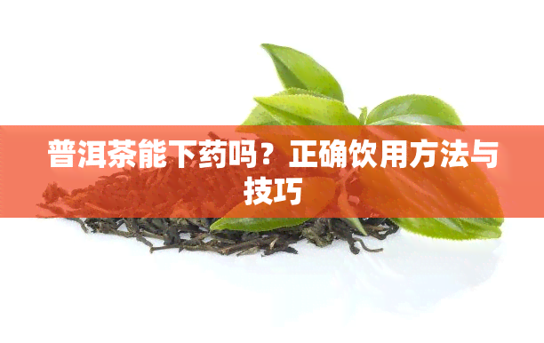 普洱茶能下吗？正确饮用方法与技巧