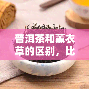 普洱茶和薰衣草的区别，比较一下：普洱茶与薰衣草的异同之处