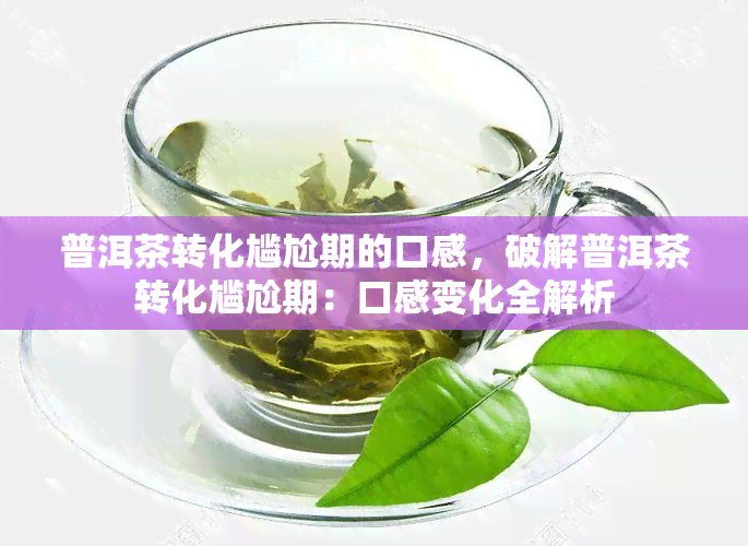 普洱茶转化尴尬期的口感，破解普洱茶转化尴尬期：口感变化全解析