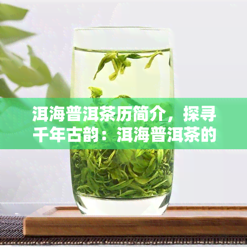 洱海普洱茶历简介，探寻千年古韵：洱海普洱茶的历简介