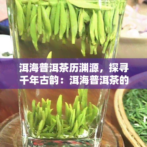 洱海普洱茶历渊源，探寻千年古韵：洱海普洱茶的历渊源