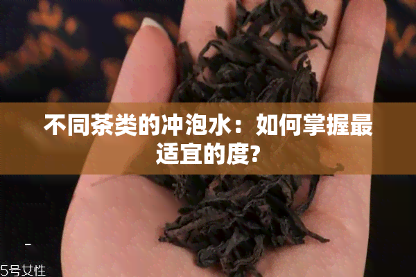 不同茶类的冲泡水：如何掌握最适宜的度?