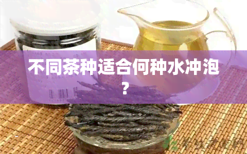 不同茶种适合何种水冲泡？