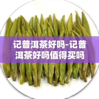 记普洱茶好吗-记普洱茶好吗值得买吗