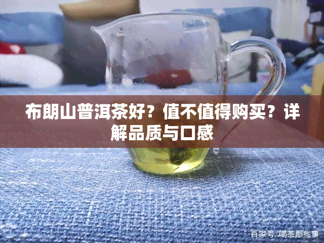 布朗山普洱茶好？值不值得购买？详解品质与口感