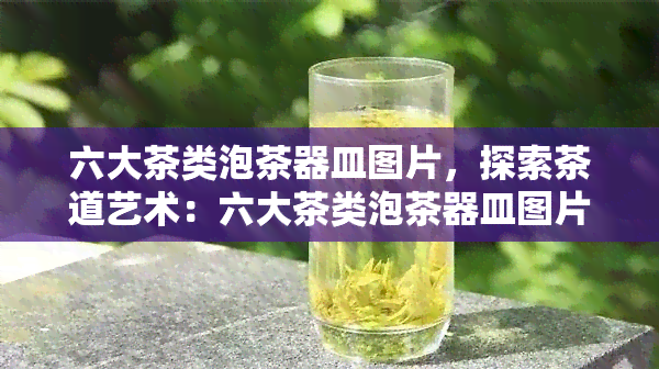 六大茶类泡茶器皿图片，探索茶道艺术：六大茶类泡茶器皿图片全览