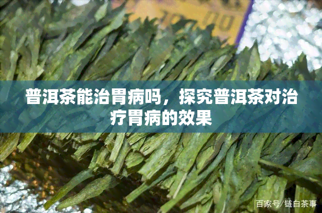 普洱茶能治胃病吗，探究普洱茶对治疗胃病的效果