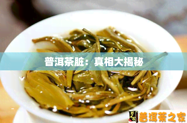 普洱茶脏：真相大揭秘