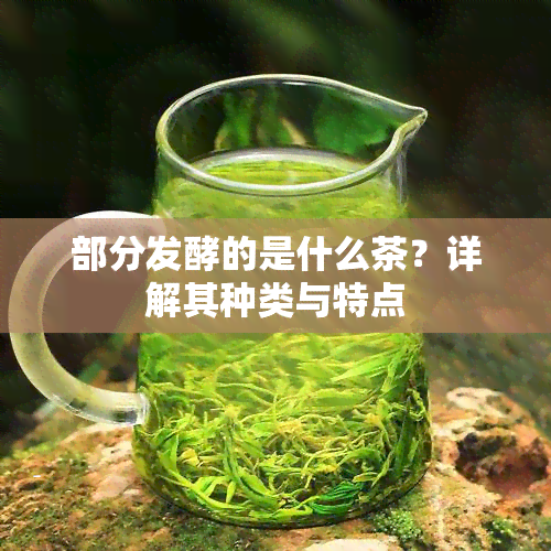 部分发酵的是什么茶？详解其种类与特点