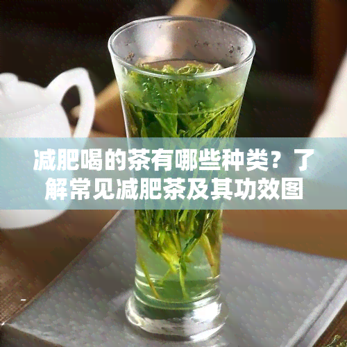 减肥喝的茶有哪些种类？了解常见减肥茶及其功效图片