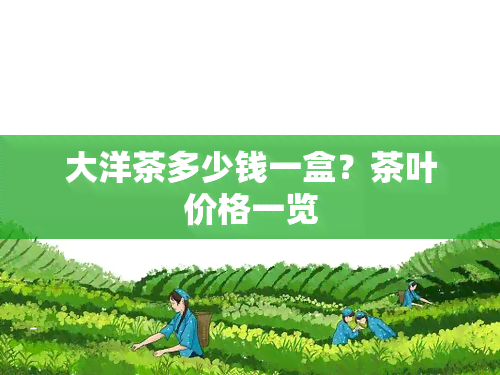 大洋茶多少钱一盒？茶叶价格一览