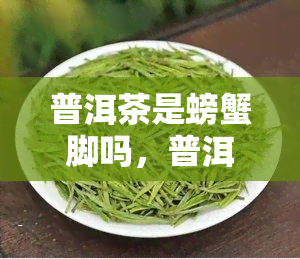 普洱茶是螃蟹脚吗，普洱茶与螃蟹脚：有何关联？