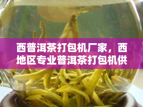 西普洱茶打包机厂家，西地区专业普洱茶打包机供应商厂家介绍