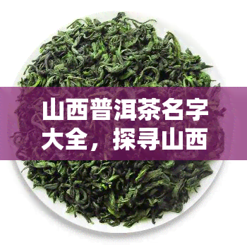 山西普洱茶名字大全，探寻山西普洱茶的魅力：名字大全一览