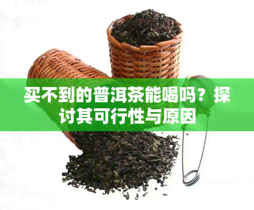 买不到的普洱茶能喝吗？探讨其可行性与原因