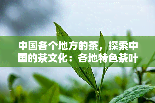 中国各个地方的茶，探索中国的茶文化：各地特色茶叶品尝指南