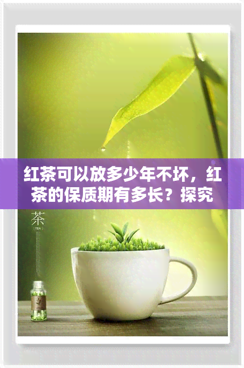 红茶可以放多少年不坏，红茶的保质期有多长？探究红茶能存放多久不坏的秘密