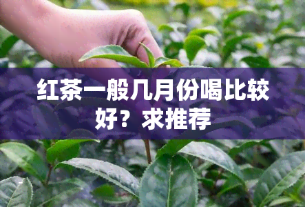 红茶一般几月份喝比较好？求推荐