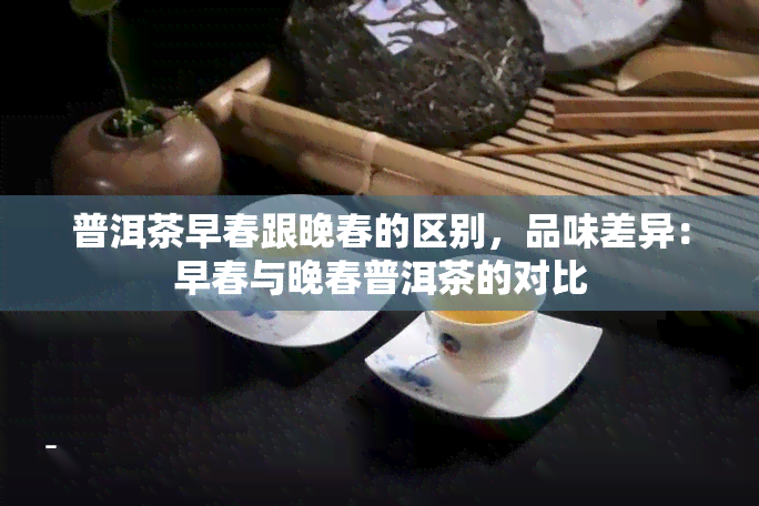 普洱茶早春跟晚春的区别，品味差异：早春与晚春普洱茶的对比