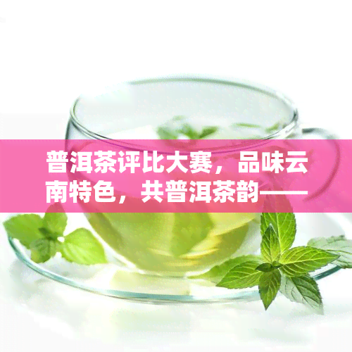 普洱茶评比大赛，品味云南特色，共普洱茶韵——普洱茶评比大赛精彩纷呈