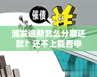 浦发逾期怎么分期还款？还不上能否申请？