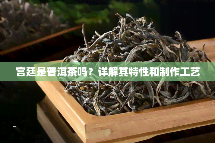 宫廷是普洱茶吗？详解其特性和制作工艺