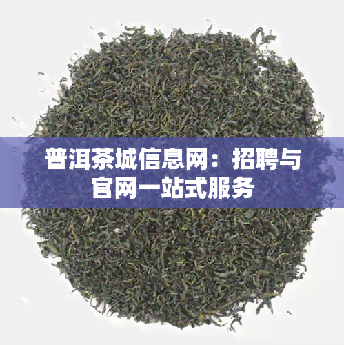 普洱茶城信息网：招聘与官网一站式服务