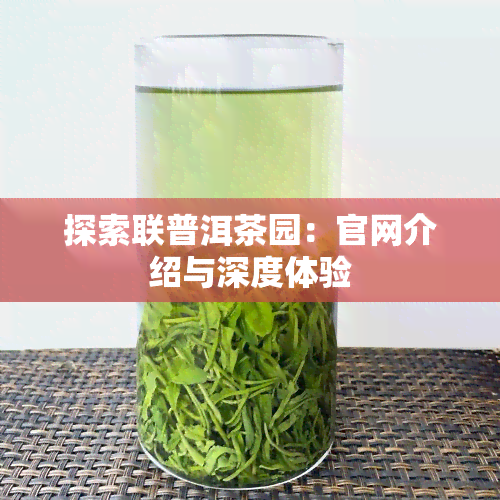 探索联普洱茶园：官网介绍与深度体验