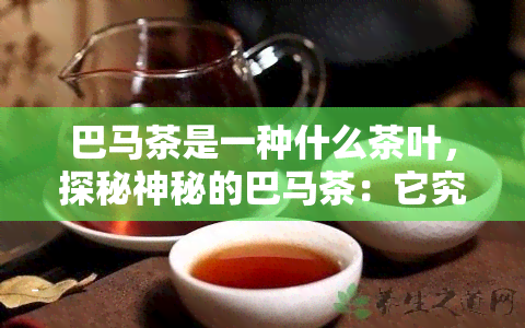 巴马茶是一种什么茶叶，探秘神秘的巴马茶：它究竟属于哪一类茶叶？