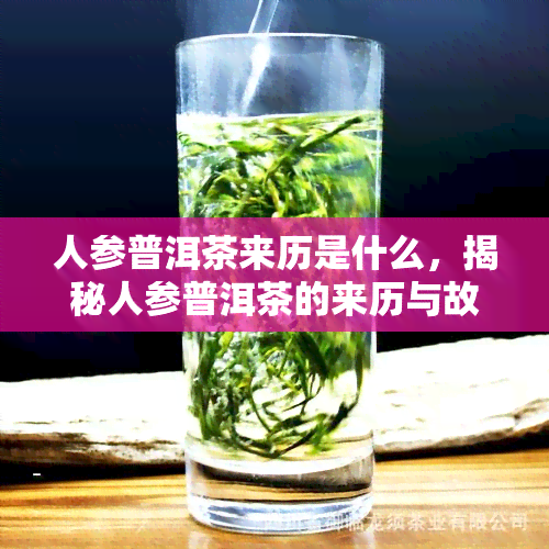 人参普洱茶来历是什么，揭秘人参普洱茶的来历与故事