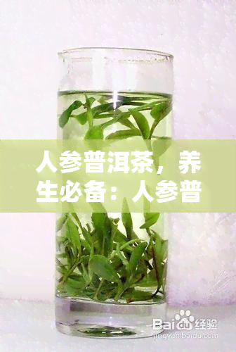 人参普洱茶，养生必备：人参普洱茶，健饮品的不二选择