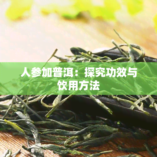 人参加普洱：探究功效与饮用方法