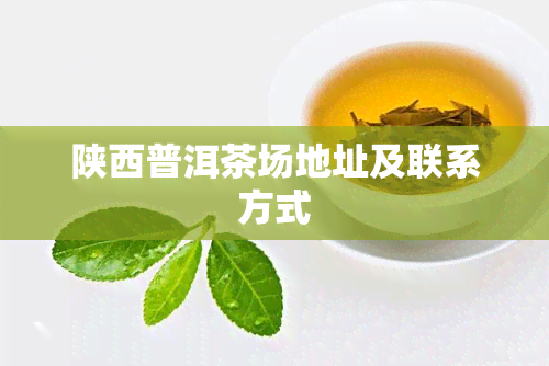 陕西普洱茶场地址及联系方式