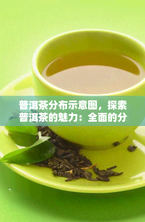 普洱茶分布示意图，探索普洱茶的魅力：全面的分布示意图解析