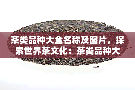 茶类品种大全名称及图片，探索世界茶文化：茶类品种大全名称及图片一览