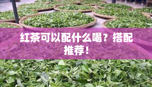 红茶可以配什么喝？搭配推荐！