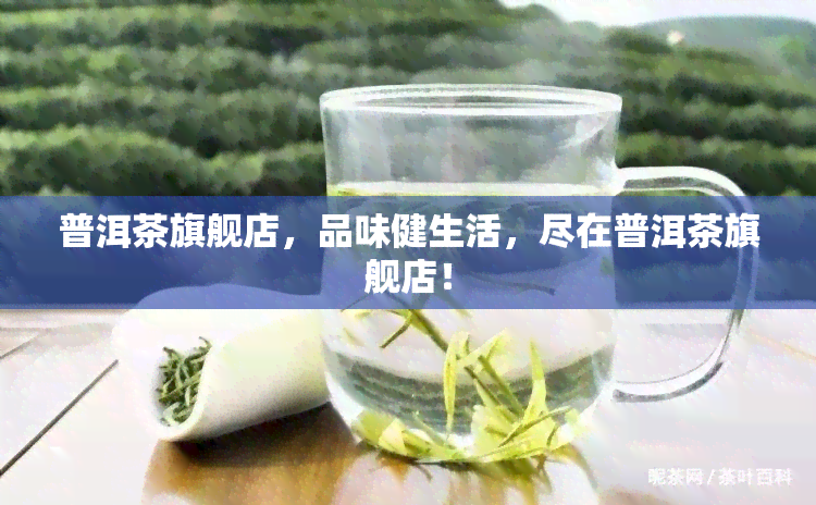 普洱茶旗舰店，品味健生活，尽在普洱茶旗舰店！