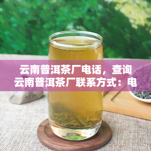 云南普洱茶厂电话，查询云南普洱茶厂联系方式：电话推荐