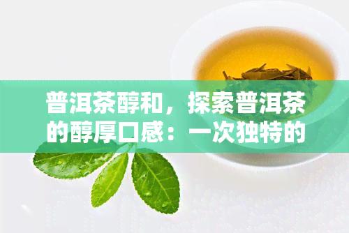 普洱茶醇和，探索普洱茶的醇厚口感：一次独特的味觉之旅