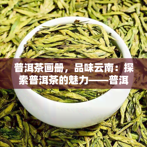 普洱茶画册，品味云南：探索普洱茶的魅力——普洱茶画册