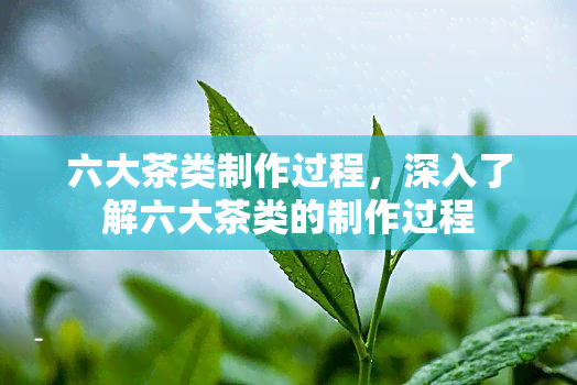 六大茶类制作过程，深入了解六大茶类的制作过程