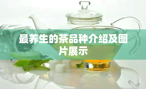 最养生的茶品种介绍及图片展示