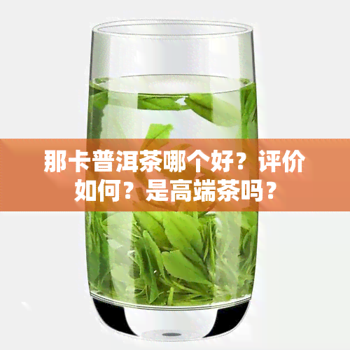 那卡普洱茶哪个好？评价如何？是高端茶吗？