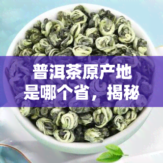 普洱茶原产地是哪个省，揭秘普洱茶的故乡：探索其原产省份