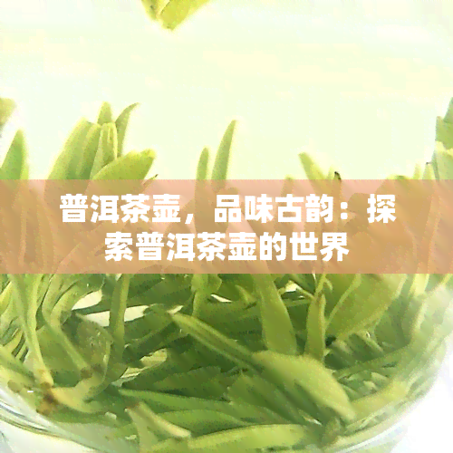 普洱茶壶，品味古韵：探索普洱茶壶的世界