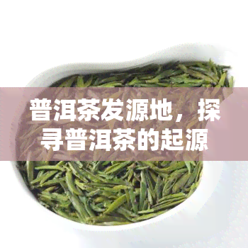 普洱茶发源地，探寻普洱茶的起源：揭秘普洱茶发源地的历与文化