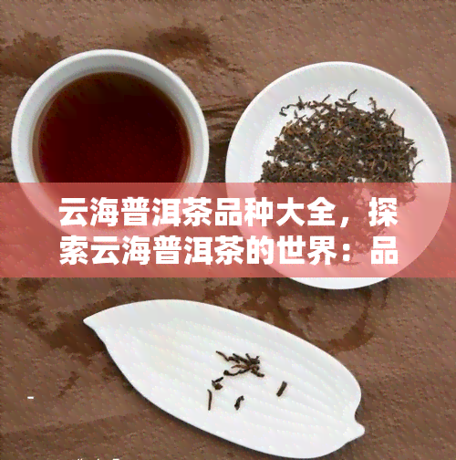 云海普洱茶品种大全，探索云海普洱茶的世界：品种大全一览